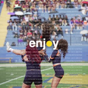 Vixra Joy03542 Compressed