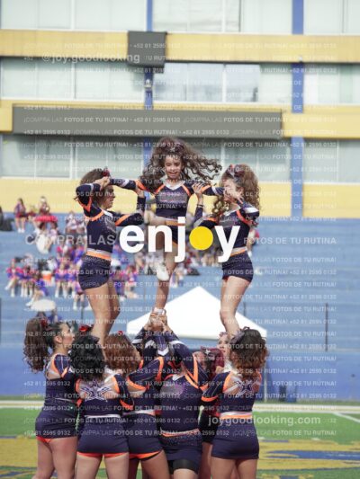 Vixra Joy03556 Compressed