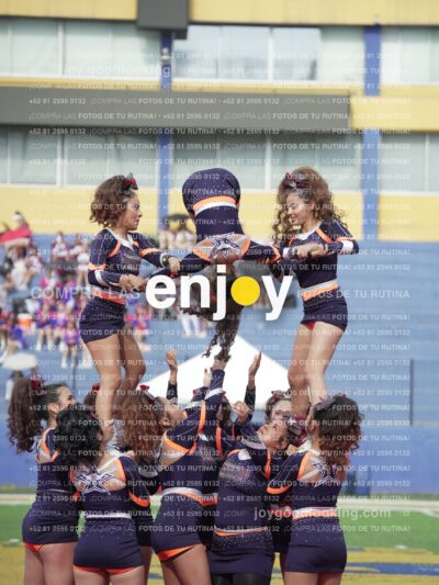 Vixra Joy03564 Compressed