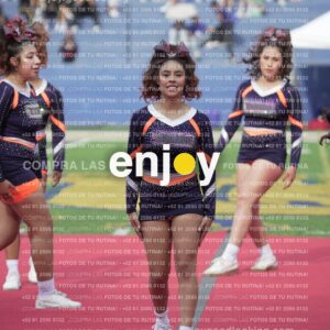 Vixra Joy03603 Compressed
