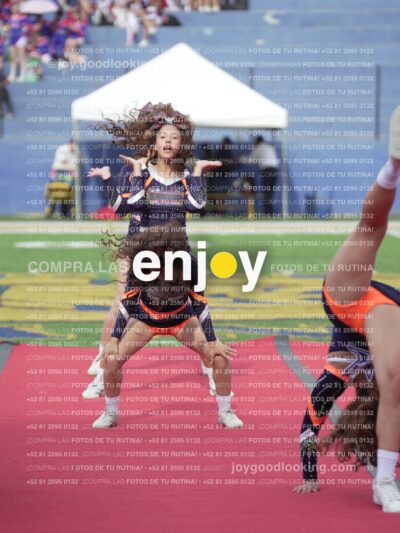 Vixra Joy03605 Compressed