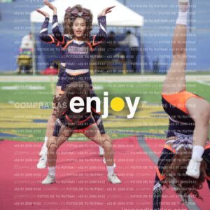 Vixra Joy03606 Compressed