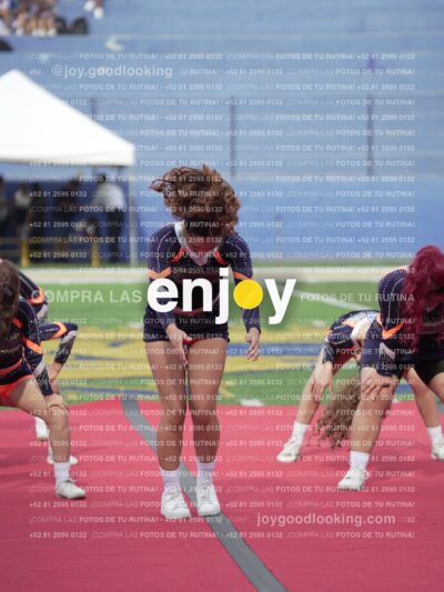 Vixra Joy03610 Compressed