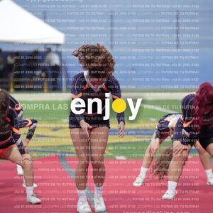 Vixra Joy03610 Compressed