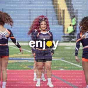 Vixra Joy03612 Compressed