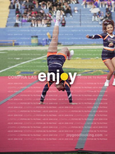 Vixra Joy03617 Compressed