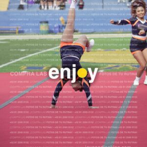 Vixra Joy03617 Compressed