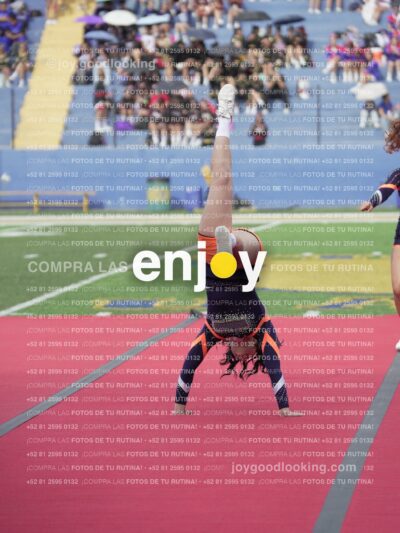 Vixra Joy03618 Compressed