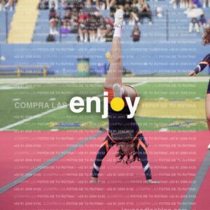 Vixra Joy03618 Compressed