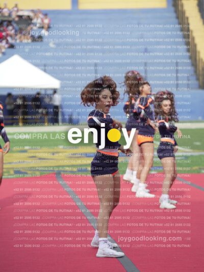 Vixra Joy03621 Compressed