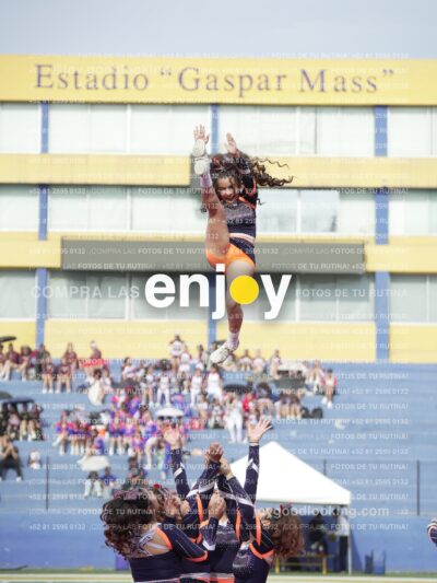 Vixra Joy03631 Compressed