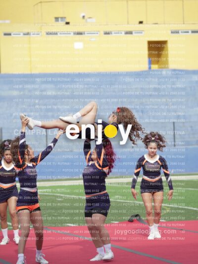 Vixra Joy03636 Compressed