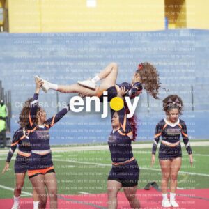 Vixra Joy03638 Compressed