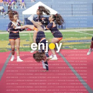 Vixra Joy03641 Compressed