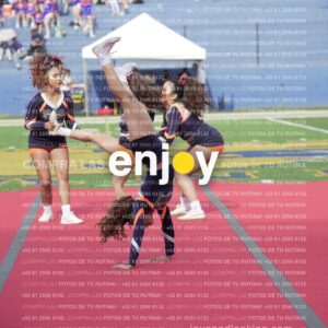 Vixra Joy03642 Compressed