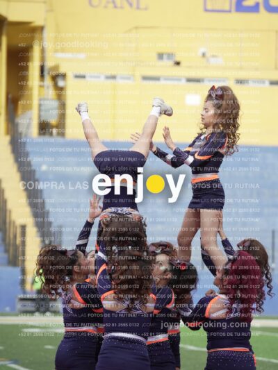 Vixra Joy03654 Compressed