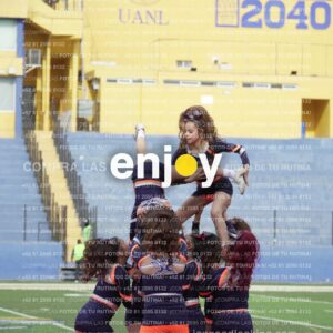Vixra Joy03657 Compressed