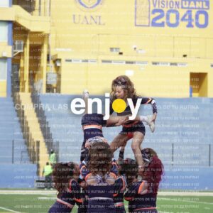 Vixra Joy03658 Compressed