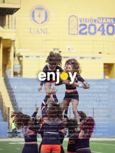 Vixra Joy03661 Compressed