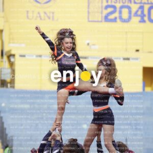 Vixra Joy03665 Compressed