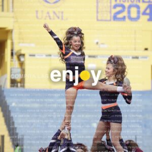 Vixra Joy03666 Compressed