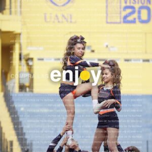 Vixra Joy03669 Compressed