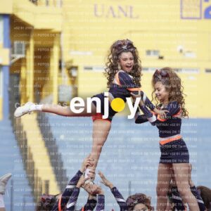 Vixra Joy03674 Compressed
