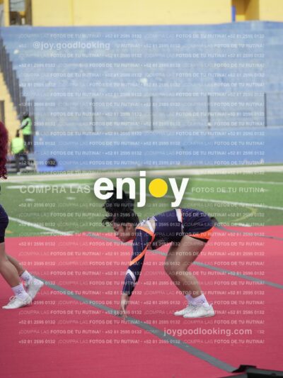 Vixra Joy03680 Compressed