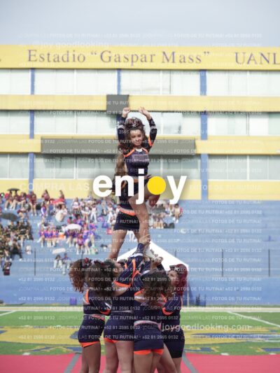 Vixra Joy03686 Compressed