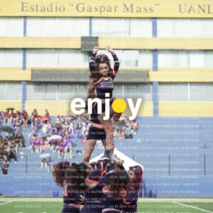 Vixra Joy03686 Compressed