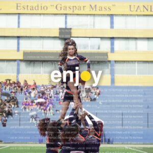 Vixra Joy03687 Compressed