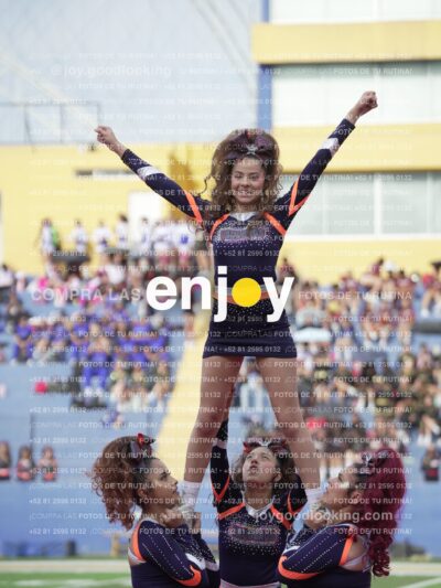 Vixra Joy03697 Compressed
