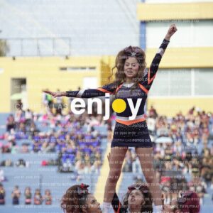 Vixra Joy03698 Compressed