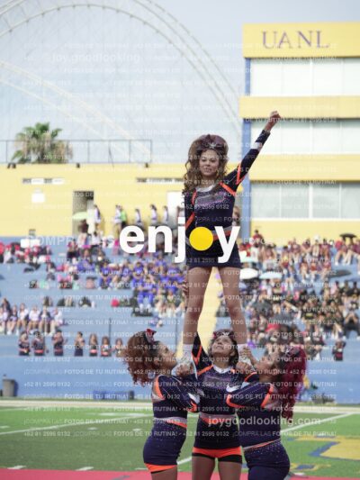 Vixra Joy03701 Compressed