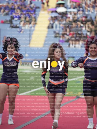 Vixra Joy03717 Compressed