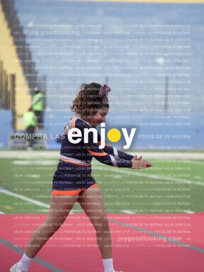Vixra Joy03728 Compressed