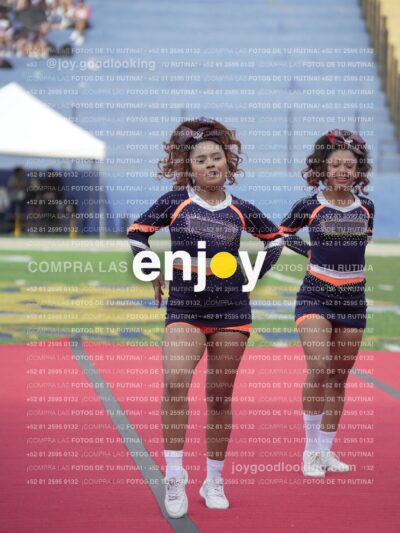 Vixra Joy03729 Compressed