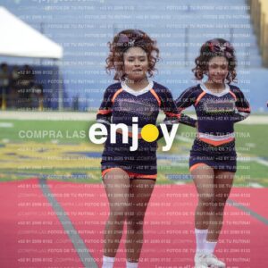 Vixra Joy03730 Compressed