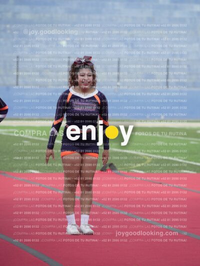 Vixra Joy03733 Compressed