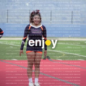 Vixra Joy03733 Compressed