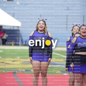 Vixra Joy03747 Compressed