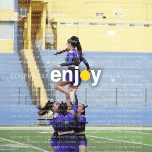 Vixra Joy03770 Compressed