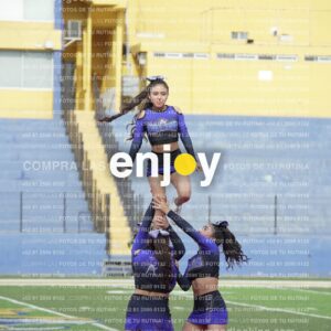 Vixra Joy03775 Compressed