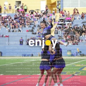 Vixra Joy03785 Compressed