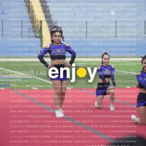 Vixra Joy03797 Compressed