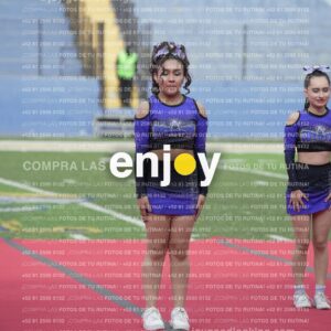 Vixra Joy03799 Compressed