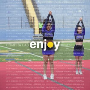 Vixra Joy03801 Compressed