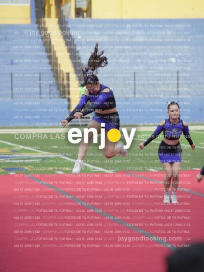 Vixra Joy03805 Compressed