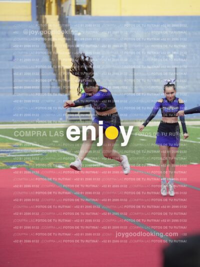 Vixra Joy03806 Compressed