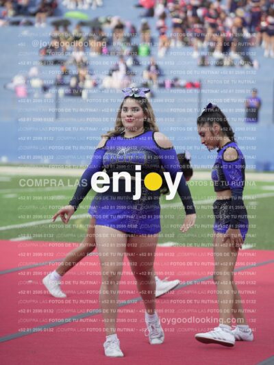 Vixra Joy03810 Compressed